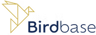Birdbase Aviation